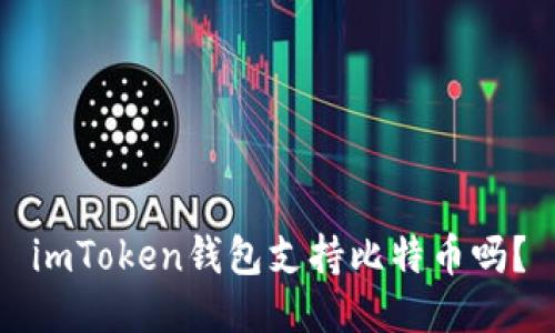 imToken钱包支持比特币吗？