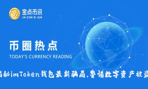 揭秘imToken钱包最新骗局，警惕数字资产被盗！