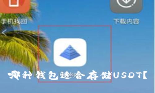 哪种钱包适合存储USDT？