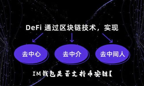 IM钱包是否支持币安链？