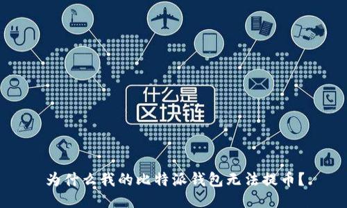 为什么我的比特派钱包无法提币?