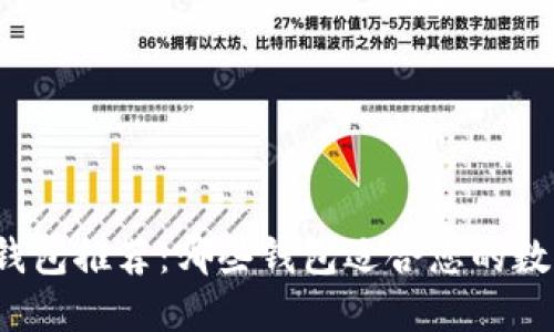 比特币钱包推荐：哪些钱包适合您的数字资产？