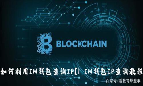 如何利用IM钱包查询IP？| IM钱包IP查询教程