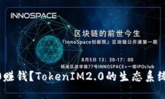 如何用TokenIM2.0赚钱？Tok