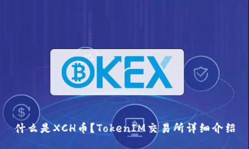 什么是XCH币？TokenIM交易所详细介绍