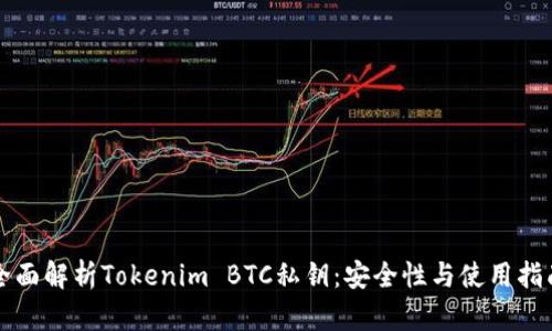 全面解析Tokenim BTC私钥：安全性与使用指南