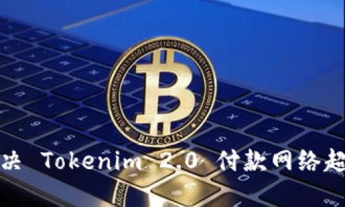 如何解决 Tokenim 2.0 付款网络超时问题