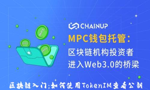 
区块链入门：如何使用TokenIM查看公钥