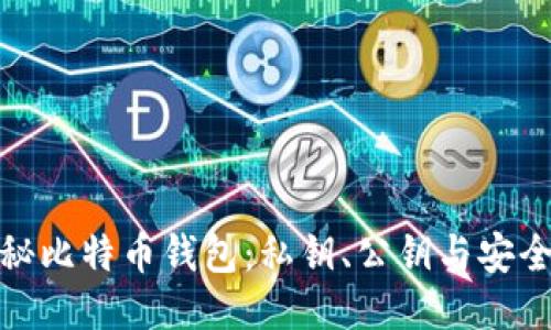 揭秘比特币钱包:私钥、公钥与安全性