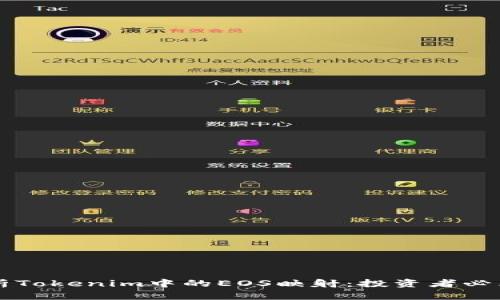 深入解析Tokenim中的EOS映射：投资者必看的指南