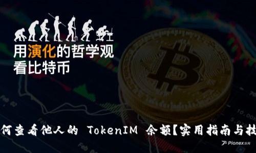 如何查看他人的 TokenIM 余额？实用指南与技巧