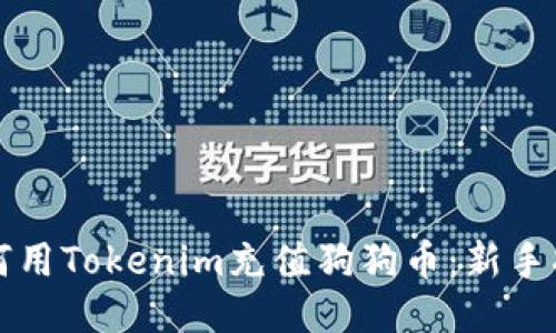 如何用Tokenim充值狗狗币：新手指南