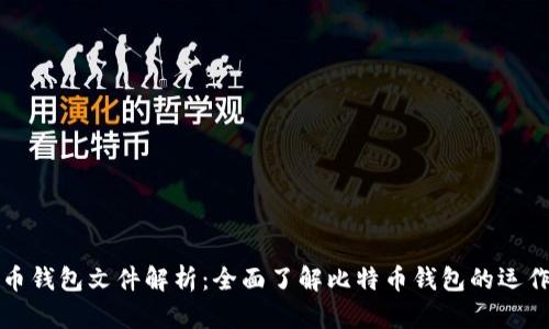 比特币钱包文件解析：全面了解比特币钱包的运作机制