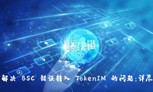 如何解决 BSC 错误转入 TokenIM 的问题：详尽指南