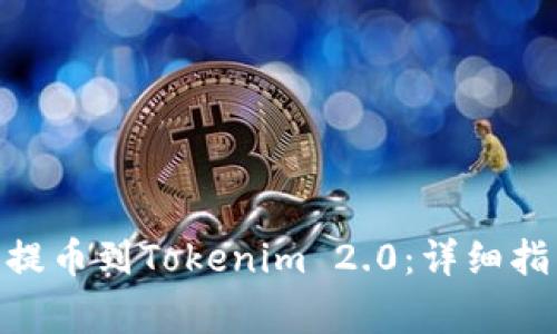 如何将BCH币提币到Tokenim 2.0：详细指南与注意事项