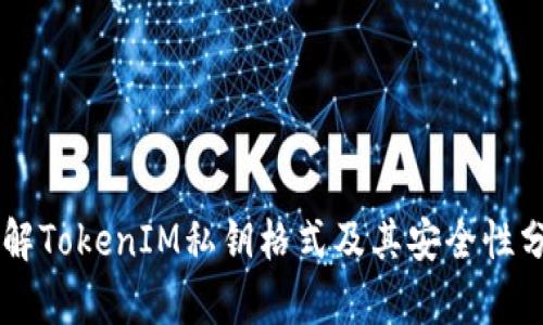 了解TokenIM私钥格式及其安全性分析