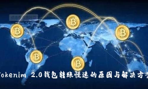 Tokenim 2.0钱包转账慢速的原因与解决方案