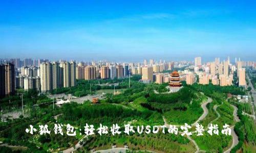 小狐钱包:轻松收取USDT的完整指南