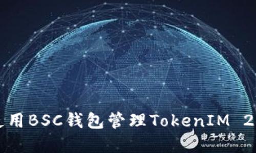 如何使用BSC钱包管理TokenIM 2.0资产