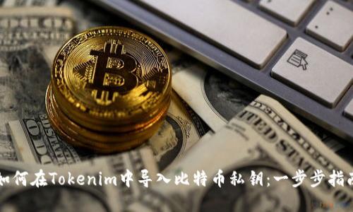 如何在Tokenim中导入比特币私钥：一步步指南