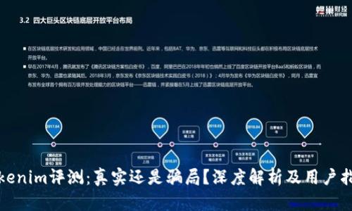 Tokenim评测:真实还是骗局?深度解析及用户指南