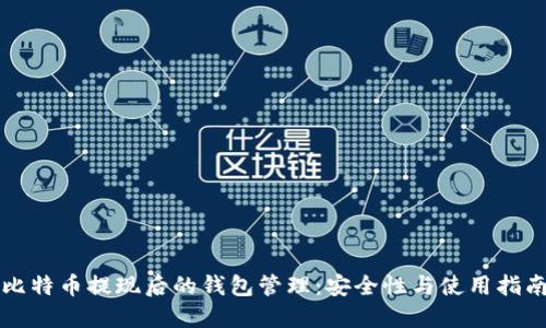 比特币提现后的钱包管理:安全性与使用指南