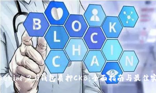 Tokenim 2.0钱包质押CKB:全面指南与最佳实践