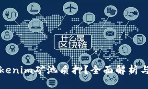 什么是Tokenim矿池质押？全面解析与投资指南