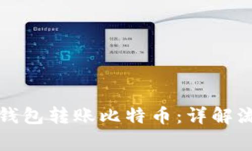 如何使用观察钱包转账比特币:详解流程与注意事项