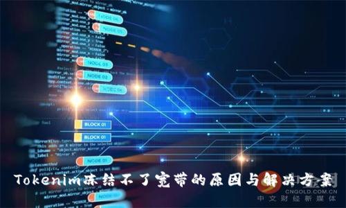 Tokenim冻结不了宽带的原因与解决方案