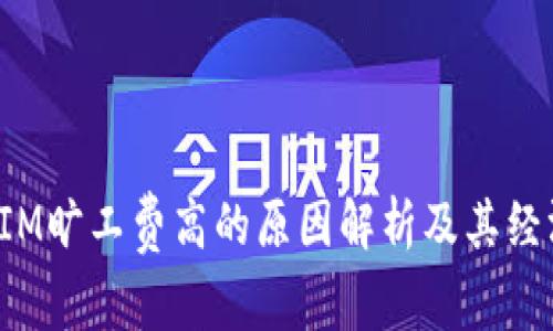 TokenIM旷工费高的原因解析及其经济影响