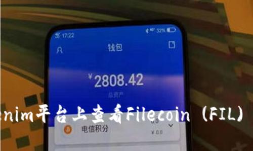 如何在Tokenim平台上查看Filecoin (FIL) 交易和信息