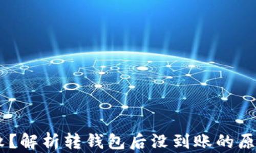 
USDT转账失败？解析转钱包后没到账的原因及解决方案