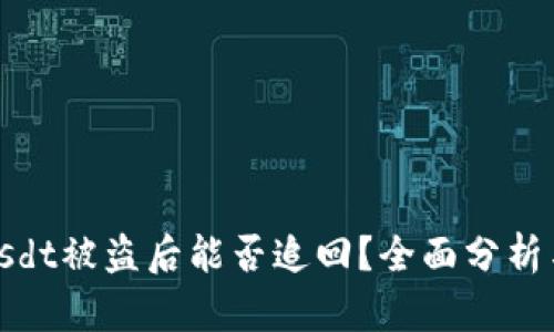 TokenImusdt被盗后能否追回?全面分析与解决方案
