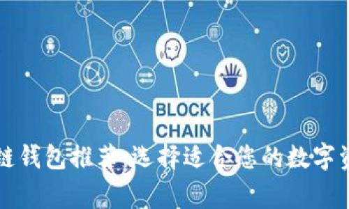 常用的区块链钱包推荐:选择适合您的数字资产存储工具