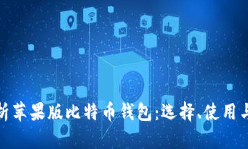全面解析苹果版比特币钱包:选择、使用与安全性
