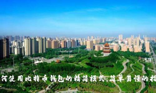 如何使用比特币钱包的精简模式：简单易懂的指南