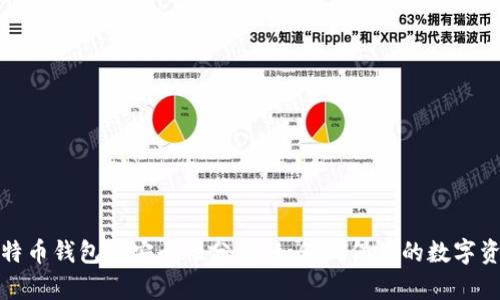 早期比特币钱包的安全性分析:如何确保你的数字资产安全