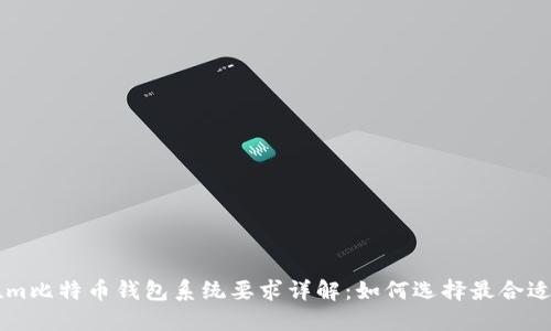 Electrum比特币钱包系统要求详解:如何选择最合适的环境?