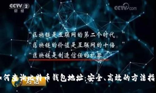 如何查询比特币钱包地址:安全、高效的方法指南