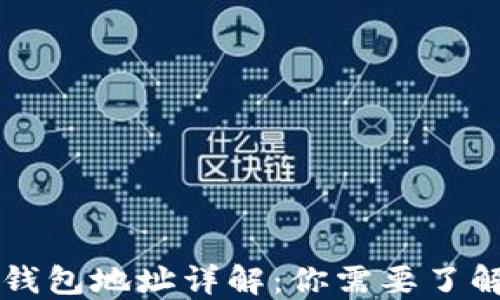 虚拟币钱包地址详解:你需要了解的一切