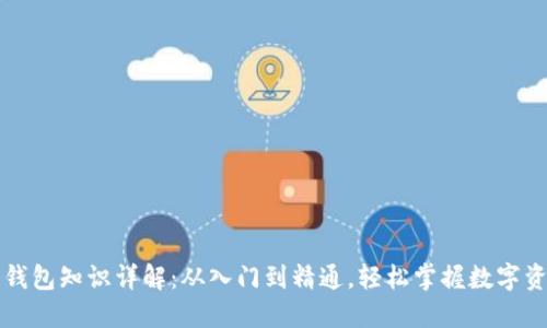 区块链钱包知识详解:从入门到精通,轻松掌握数字资产管理