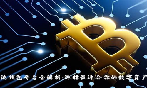 区块链主流钱包平台全解析:选择最适合你的数字资产管理工具