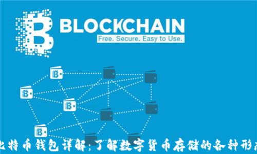 比特币钱包详解:了解数字货币存储的各种形态