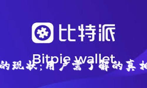 比特币钱包的现状:用户需了解的真相与应对策略