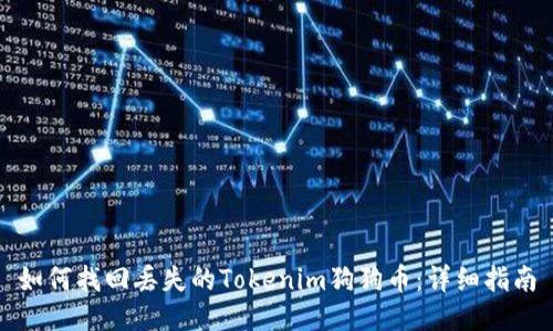 如何找回丢失的Tokenim狗狗币：详细指南