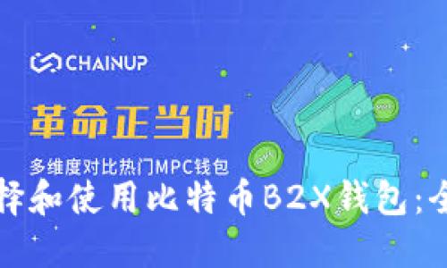 如何选择和使用比特币B2X钱包:全面指南