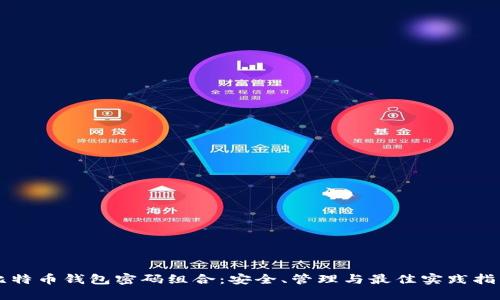 比特币钱包密码组合:安全、管理与最佳实践指南