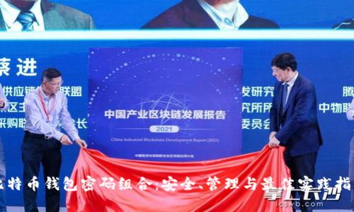 比特币钱包密码组合:安全、管理与最佳实践指南