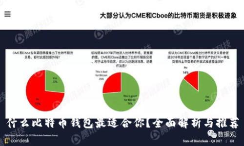什么比特币钱包最适合你?全面解析与推荐